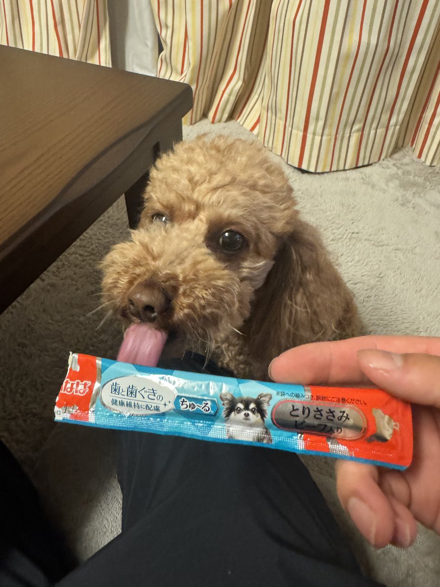 GADOROmin's tweet photo. ボーナス https://t.co/w3CFRbvwnr