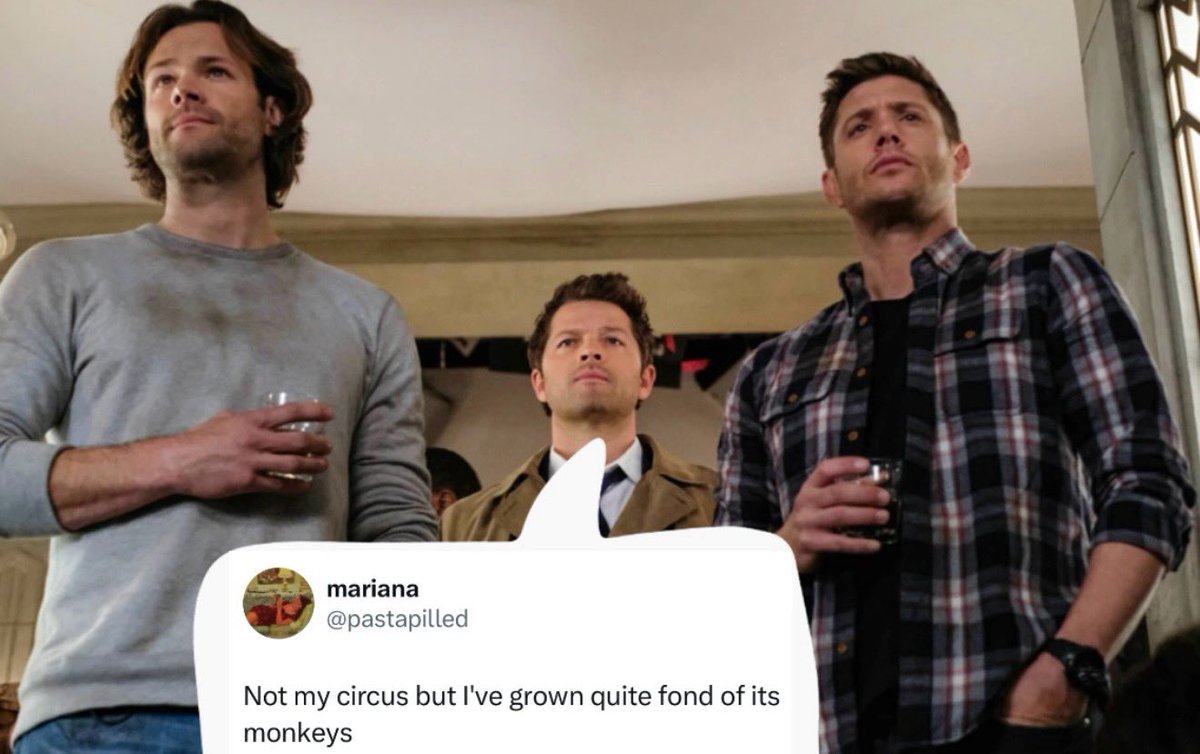 steph | cr10 (@spnjxnmish) on Twitter photo 