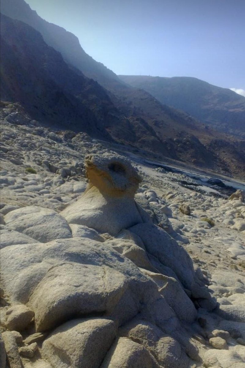 سعيدأحمد (@said12h) on Twitter photo 