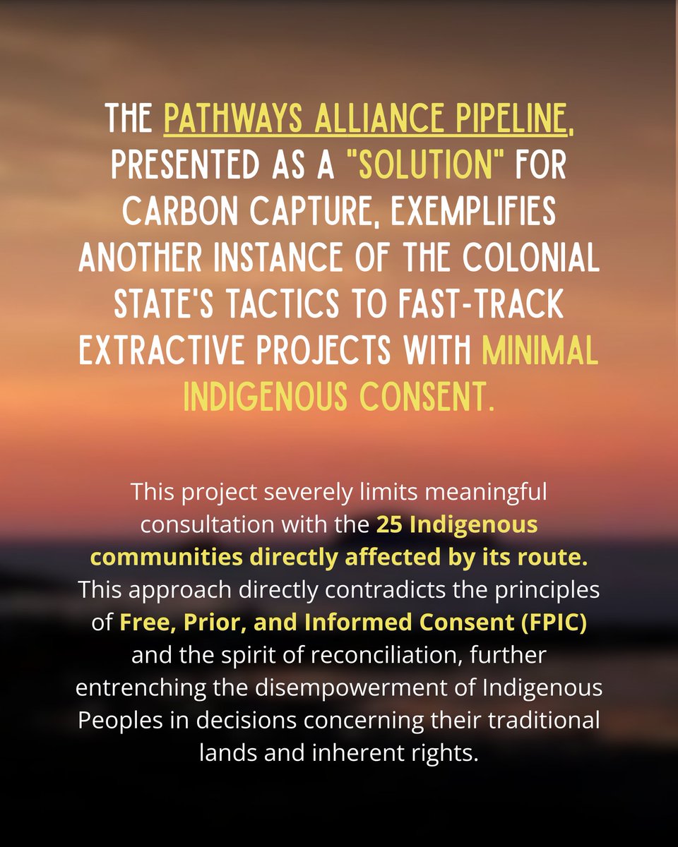 Indigenous Climate Action tweet media