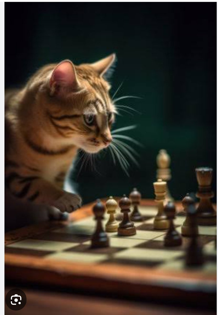 🐱💛💛💛
THE ONE
♟️♟️♟️