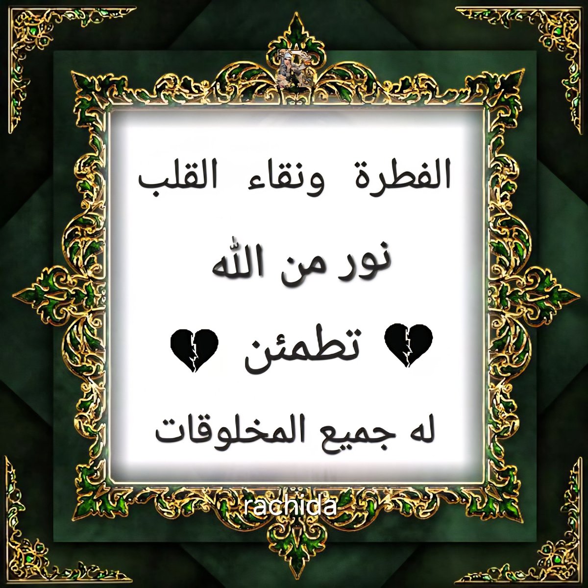 الفطرة ونقاء القلب
نور من الله
تطمئن له جميع المخلوقات
#رسول_الله_محمد