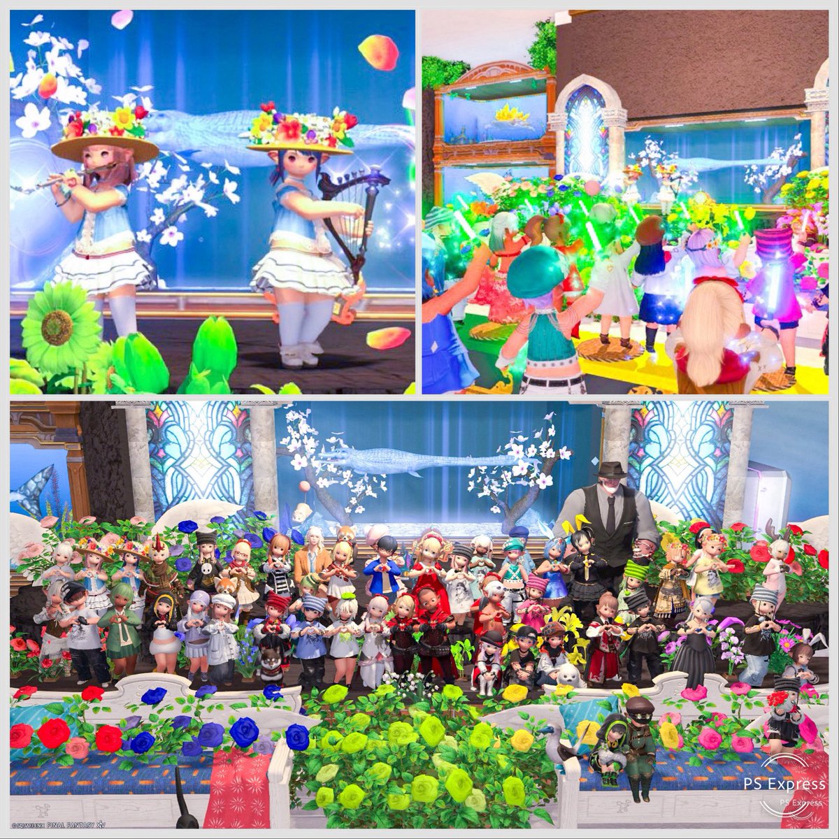 #FF14  #ルピナス_FF14

今夜は #しろたみハウス 様に出演させて頂きました🌈

聴いてくださった皆様、しろたみハウスの皆様ありがとうございました。(୨୧•͈ᴗ•͈)◞︎ᵗʱᵃᵑᵏઽ*♡︎

またどこかの街角で見かけたらよろしくお願いします🎹(⋆ᵕᴗᵕ⋆)