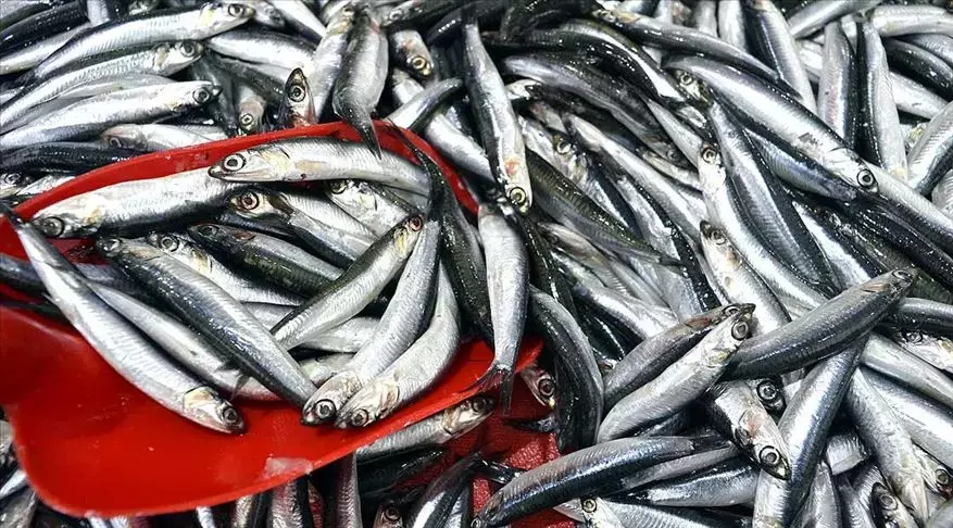 TT HaberX tweet media