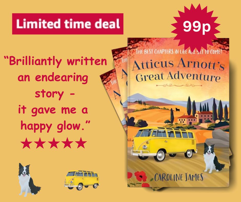 CarolineJames12's tweet image. Don't forget that #AtticusArnottsGreatAdventure is only 99p for a few days!!
Grab a copy now 🎉📚
Details here: geni.us/AAGAK
⭐️⭐️⭐️⭐️⭐️
#AtticusArnott🏖️