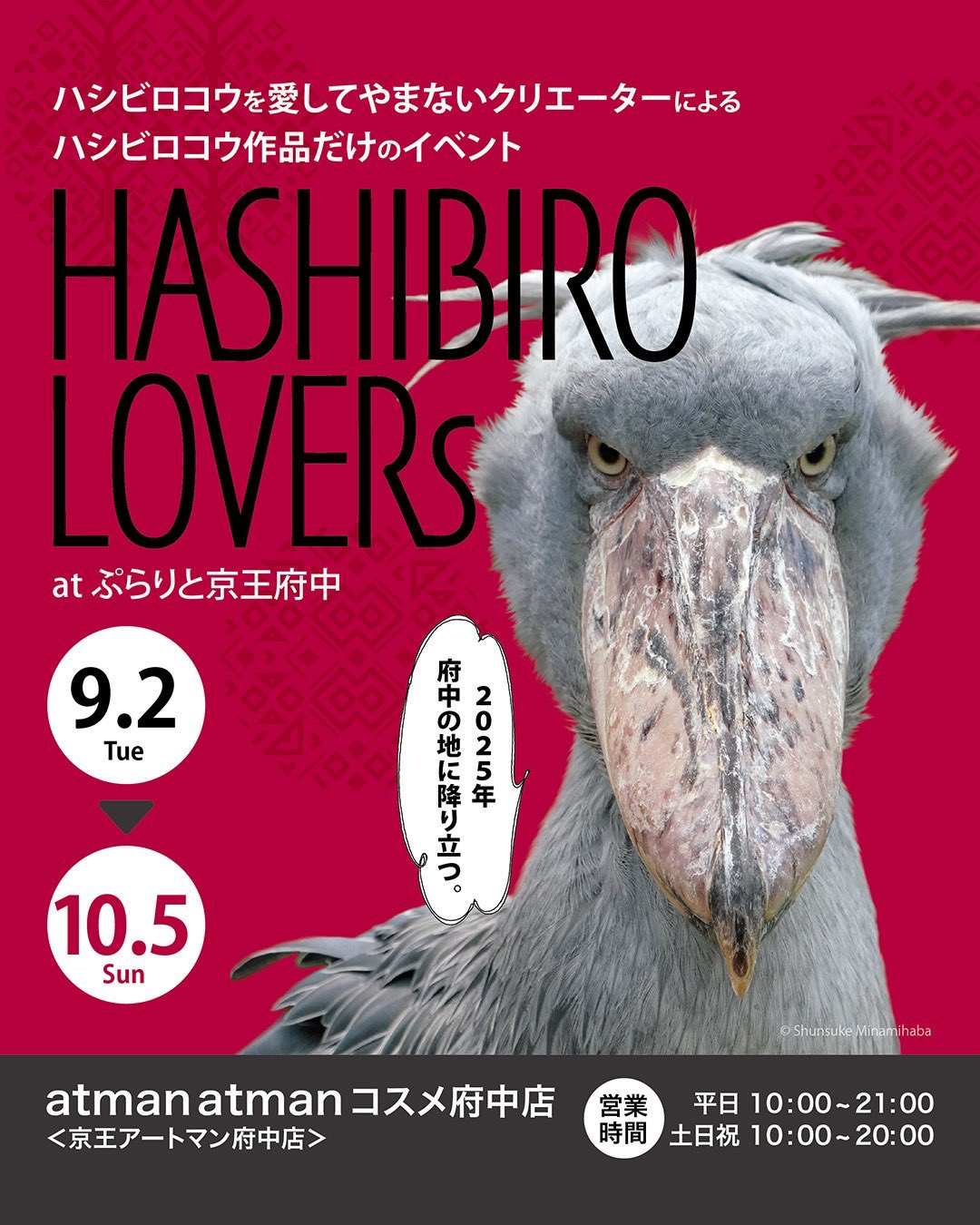 小魚家族パパ 様★専用 Amazon | 26x15x15.5cm稚魚繁殖隔離ボックス PP + メッシュ 吸盤