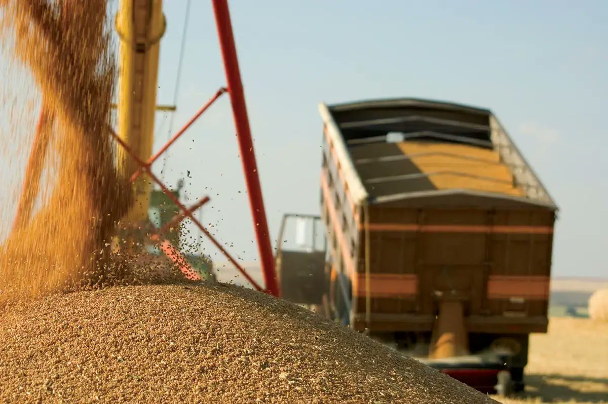 ABSeedGuide's tweet image. Alberta farmers lead in ag plastics recycling, says Cleanfarms. hubs.li/Q03JzVnV0