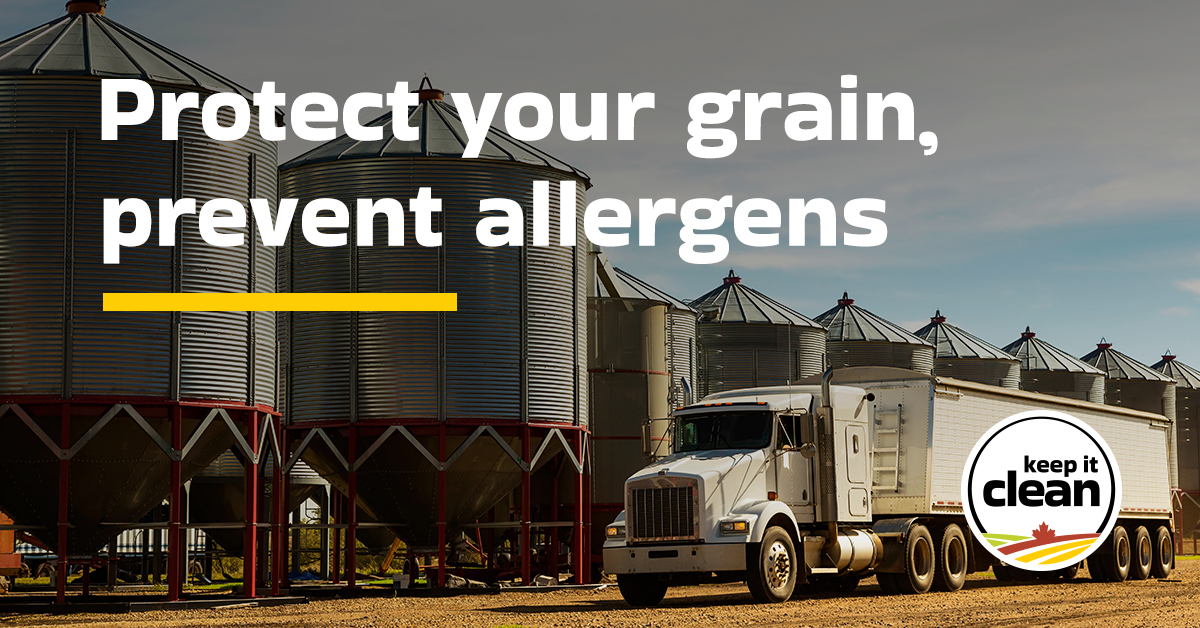 Sask Wheat (@saskwheat) on Twitter photo Even trace amounts of allergenic grains like soy, mustard or buckwheat can compromise a cereals shipment. To maintain market access, all equipment used for storage and transport, including trucks and rail cars, must be properly cleaned. Learn more 👉 bit.ly/4mGswVl Even trace amounts of allergenic grains like soy, mustard or buckwheat can compromise a cereals shipment. To maintain market access, all equipment used for storage and transport, including trucks and rail cars, must be properly cleaned. Learn more 👉 bit.ly/4mGswVl