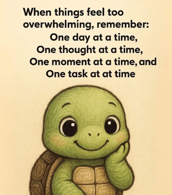 realbobandbrad's tweet image. Small steps forward still lead to big progress. 💪 Every little win counts, and every moment of calm adds up. You’ve got this! 💙

#MindsetMatters #OneStepAtATime #StressRelief #PositiveVibes #BobAndBrad
