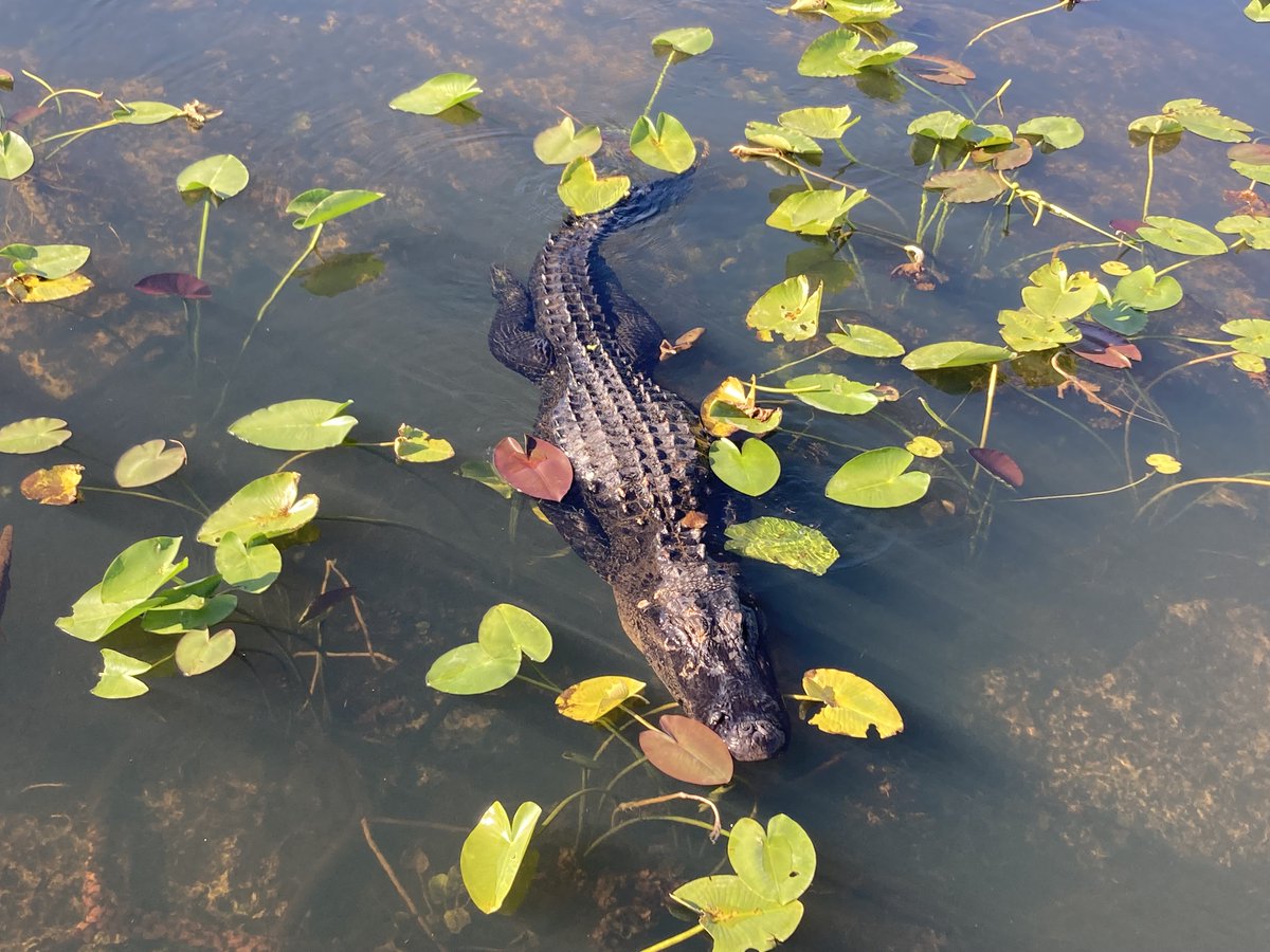 USGS in Montana tweet media