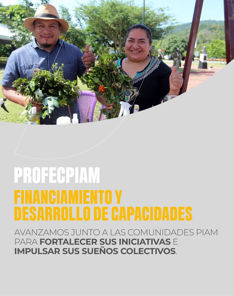 IEPS_Ec's tweet image. 📢 ¡929 postulaciones recibidas!

El 31 de agosto, el Proyecto #PROFECPIAM cerró su fase de postulaciones en todo el país. Ahora inicia el proceso de determinación de elegibilidad para impulsar las economías comunitarias de organizaciones indígenas, afro y montubias.💪

#SomosEPS