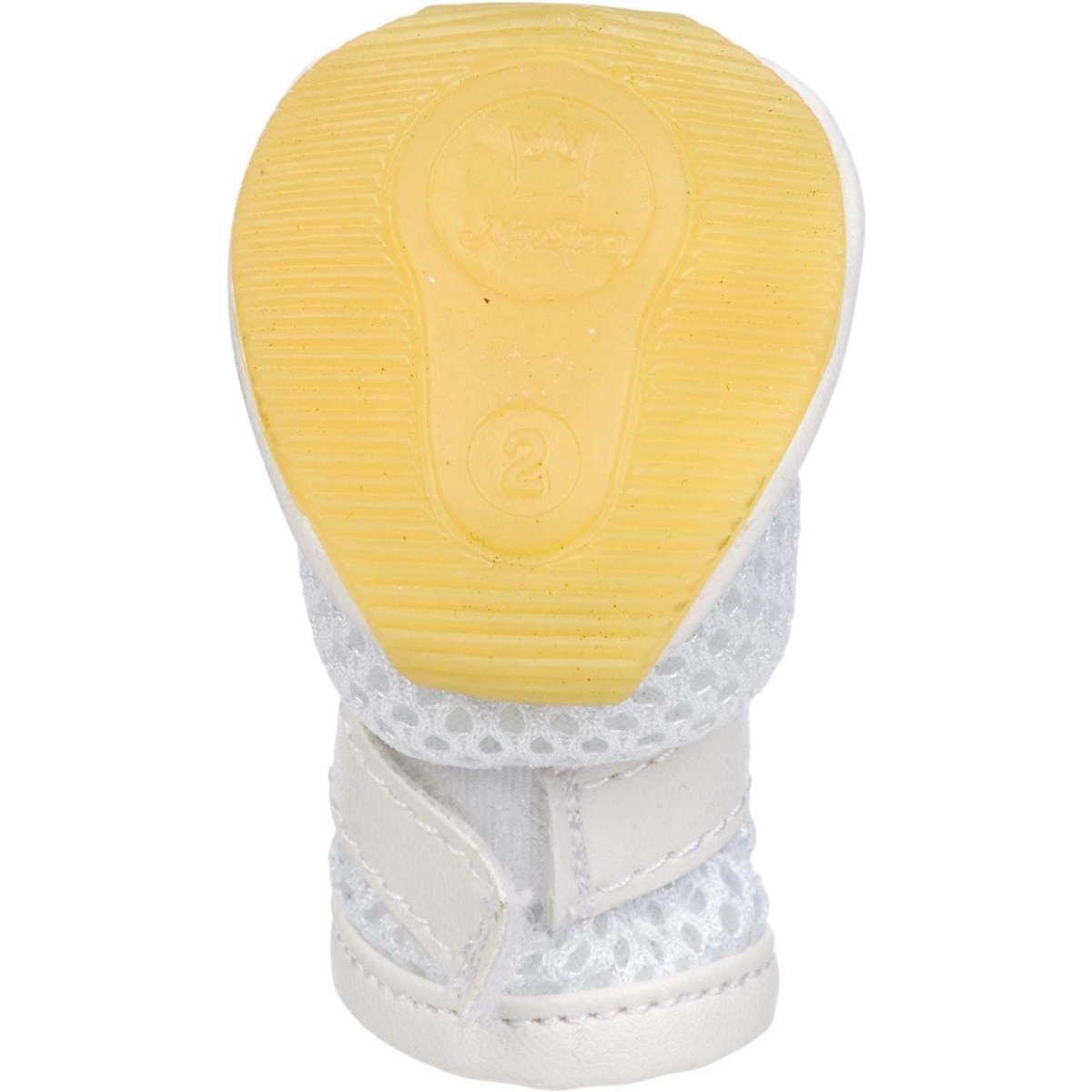 bowwowexpress's tweet image. 🐾 Keep your pup’s paws stylish AND protected! Shop the best dog shoes for every adventure at BowWowExpress.com. Comfort, quality, and cuteness in every step! 🐶✨
👟 Perfect for walks, hikes, and all-weather fun!

#DogShoes #PawProtection #DogFashion #StylishPup