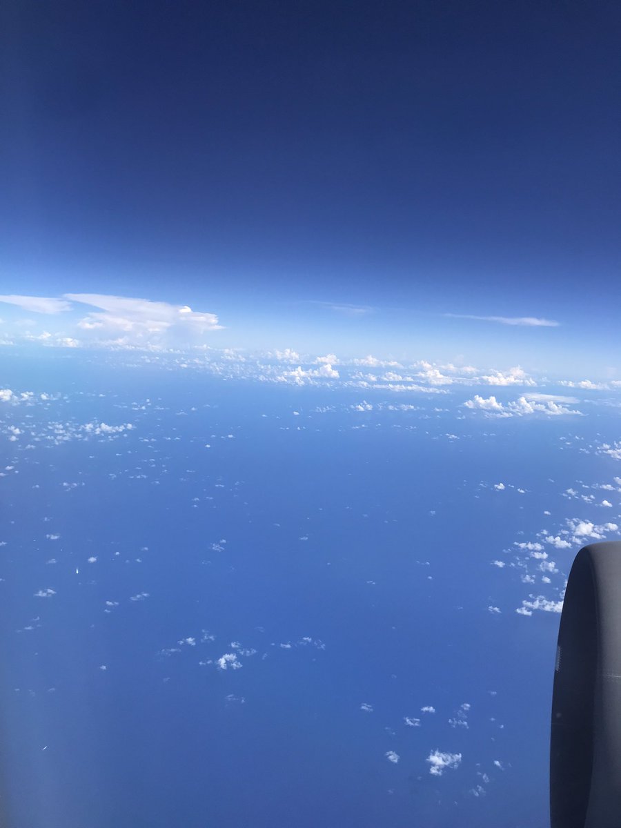 岩澤侑生子 tweet media