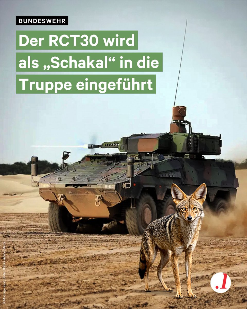 patchcritics's tweet image. "Sagen Sie mal Herr Oberst: was genau mõgen Sie eigentlich am Fuchs?"
"Die putzigen Ohren!"
"Aha"
"Die staksigen Beine"
"Mmh"
"Den Puschelschwanz"
"So, so"
"Die Form der Schnauze."
"Mmh-Ok. Wissen Sie Herr Oberst, ich hätte da eine Idee wegen dem Namen für das neue Fahrzeug..."