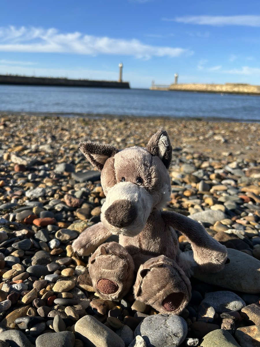 A beautiful day for a boat trip and beach combing #wolvesontour