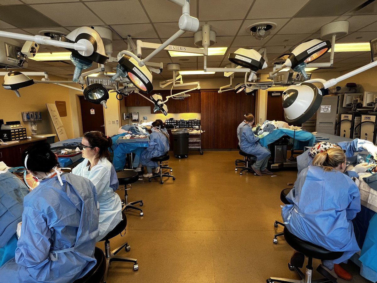 Francesca Monn tweet media