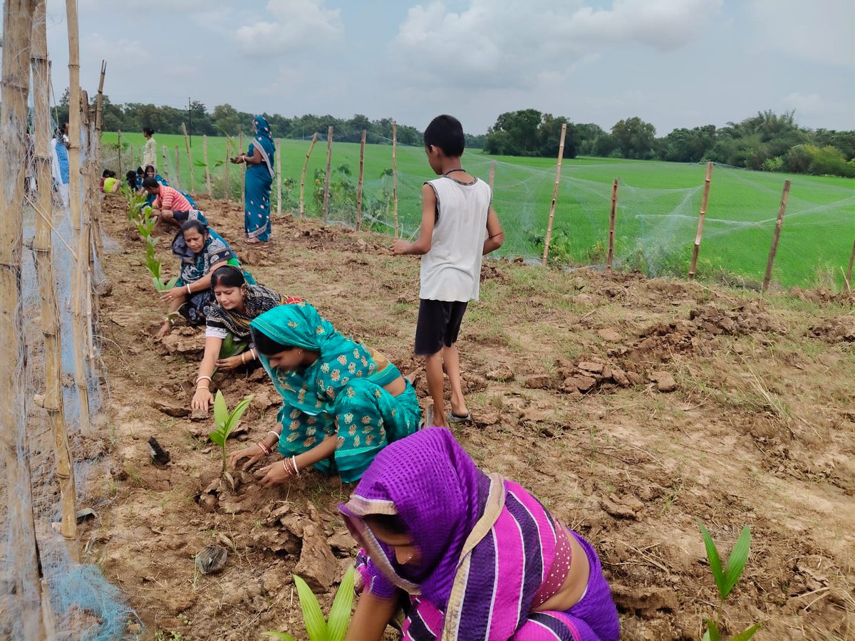 JaleswarBdo's tweet photo. Ek Ped Maa Ki Nam programme at Rajpur GP of Jaleswar Block https://t.co/oprHlR2mSu
