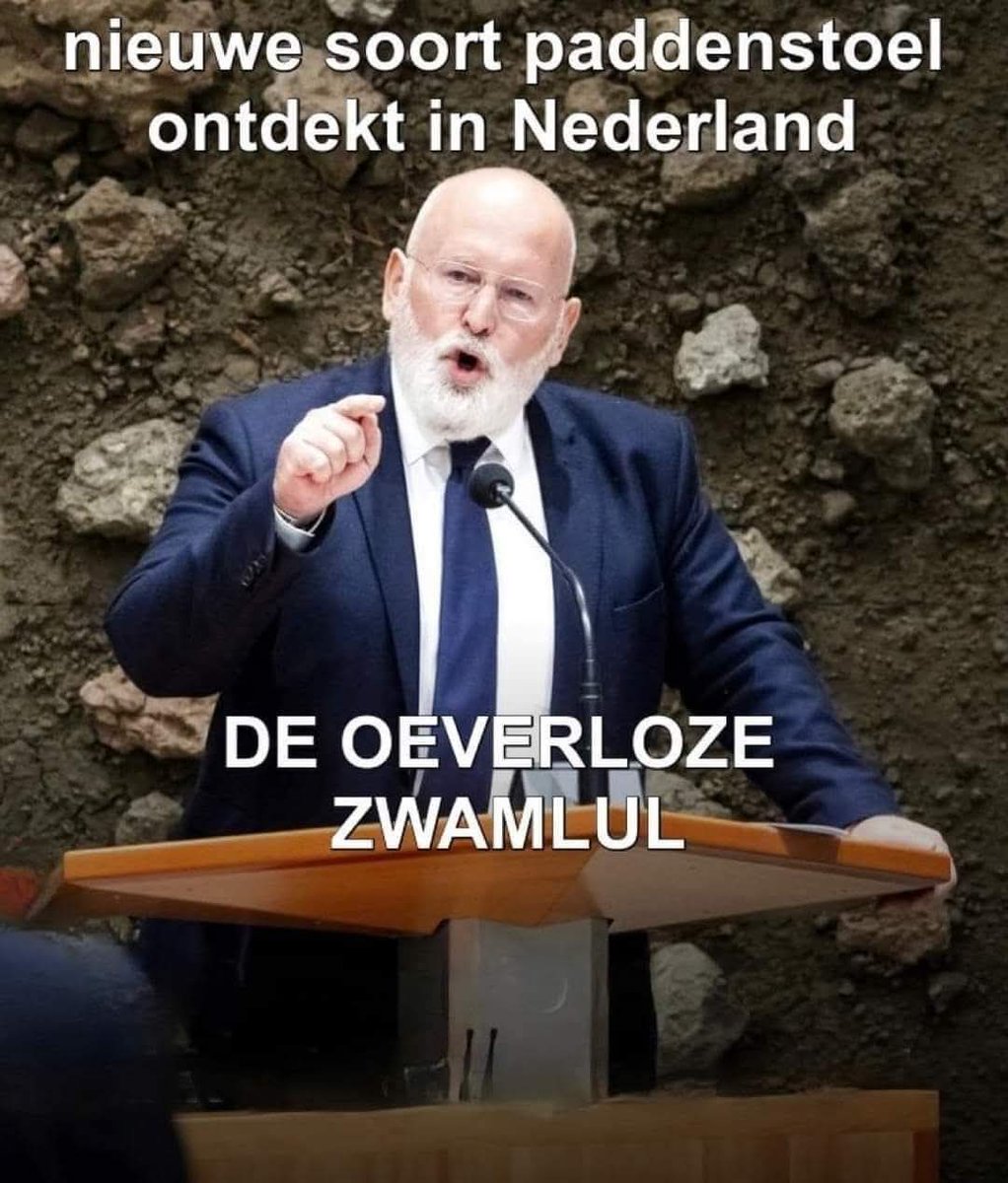 Hij is niet van mij 👇, maar kan me er wel in vinden
