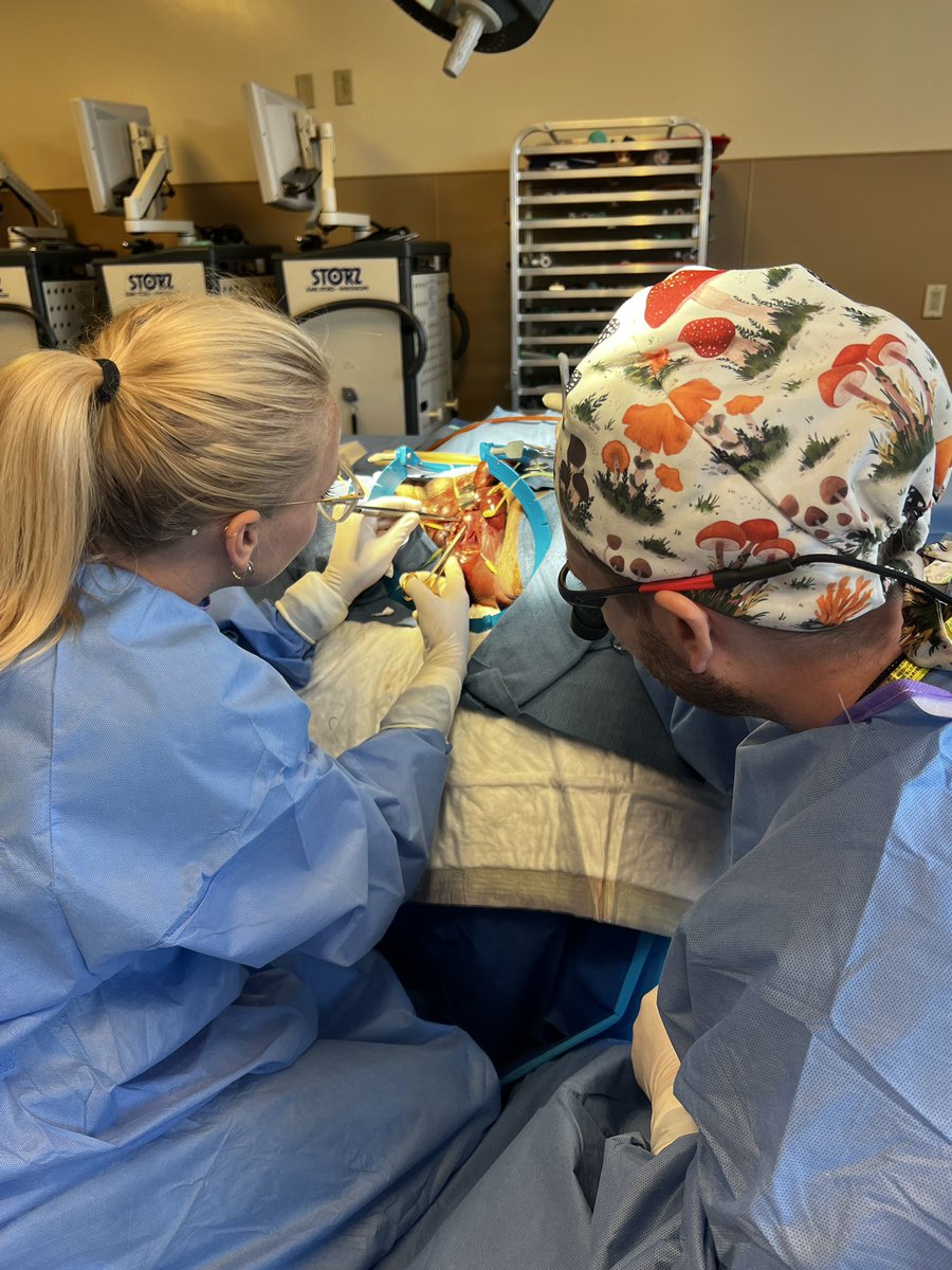 Francesca Monn tweet media