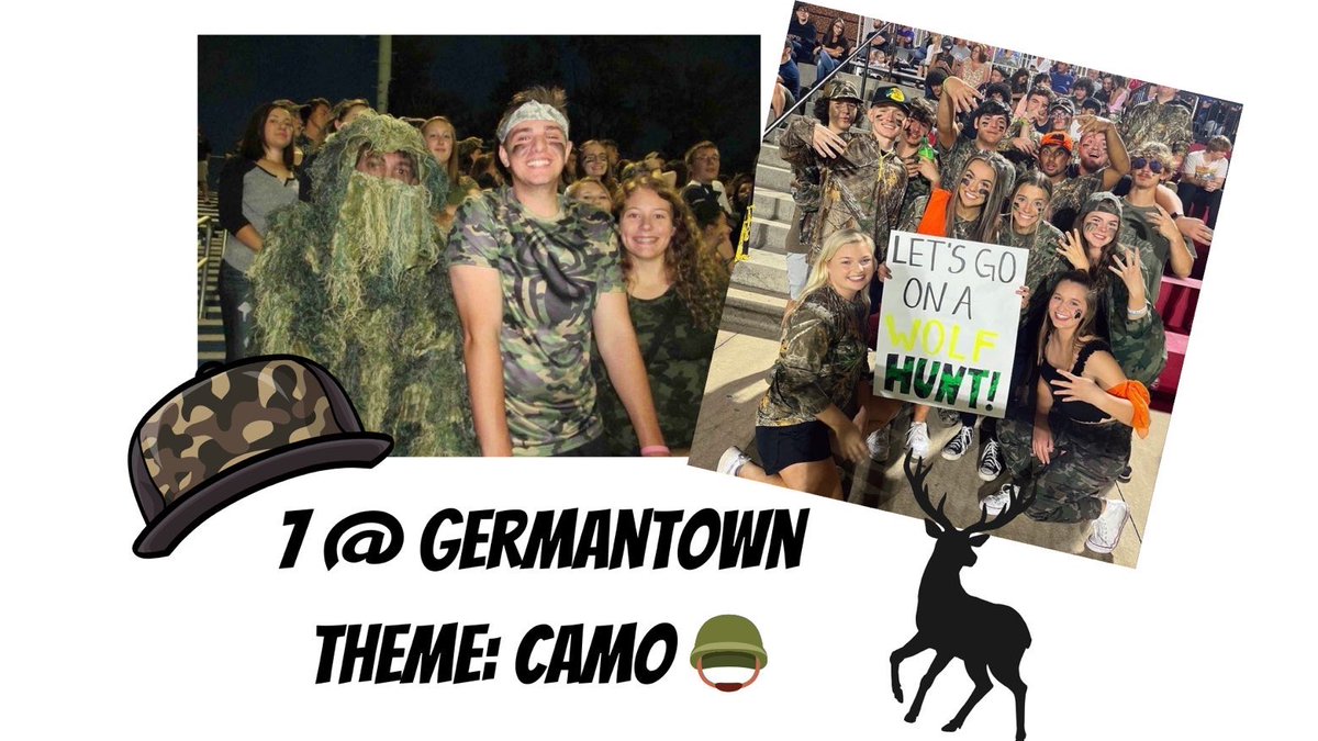 Hamilton Superfans tweet media