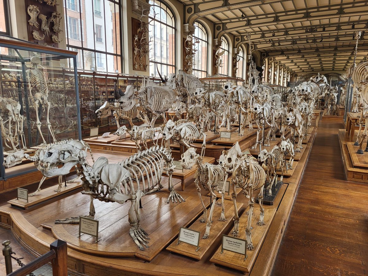 💀🐺🌱ArtofMaquenda🍄👹🩸 tweet media