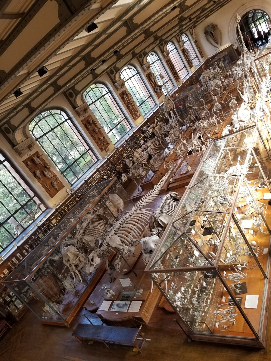 💀🐺🌱ArtofMaquenda🍄👹🩸 tweet media