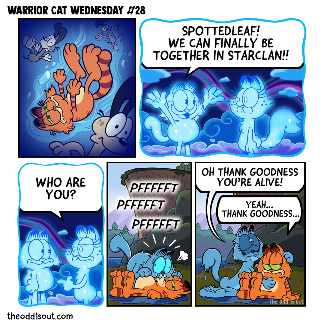 🎼So whyyy 🎶 don't you love me back? 🎵 Happy Warrior Cat Wednesday! 😸