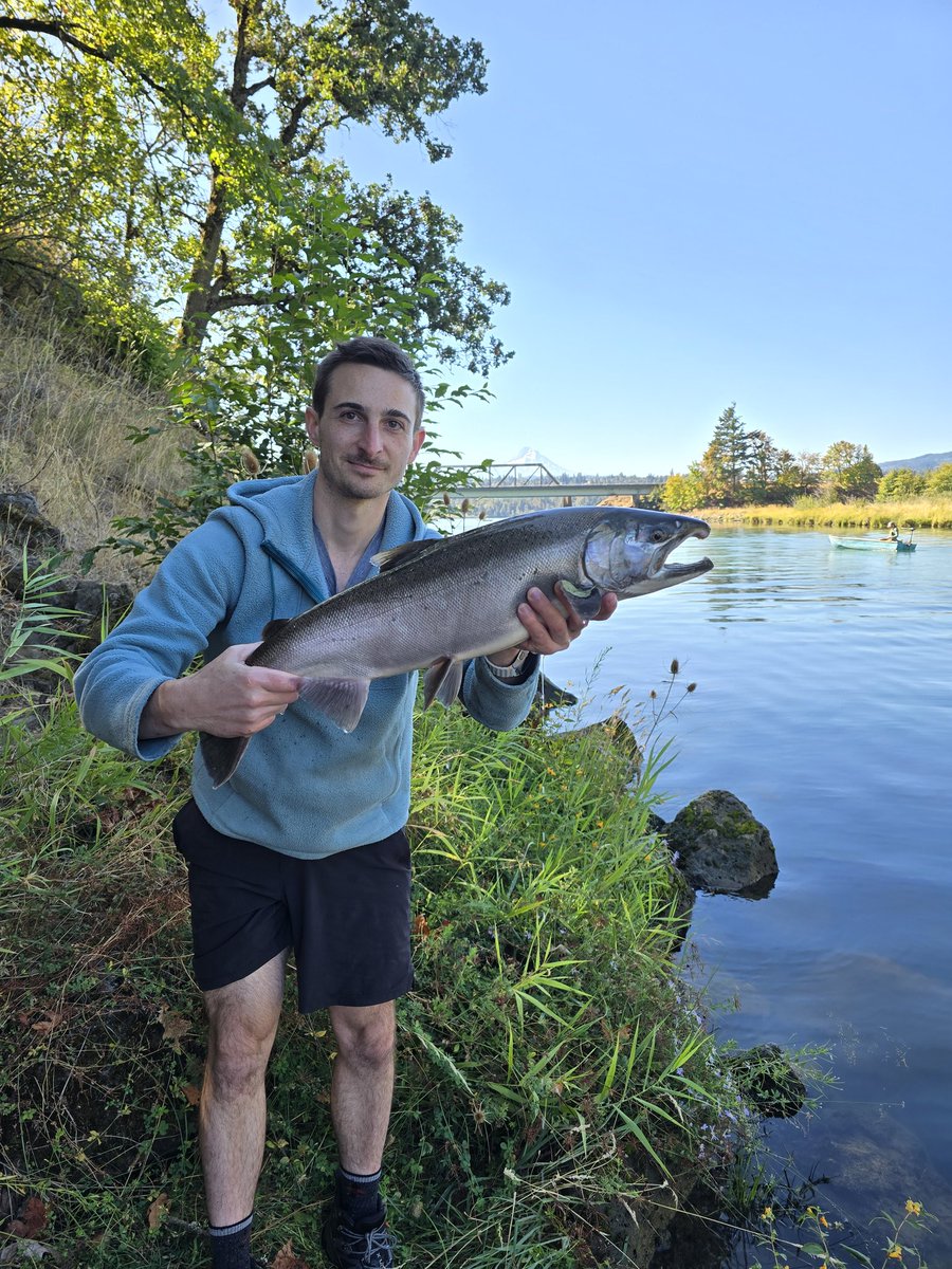 Kyle Nolan tweet media