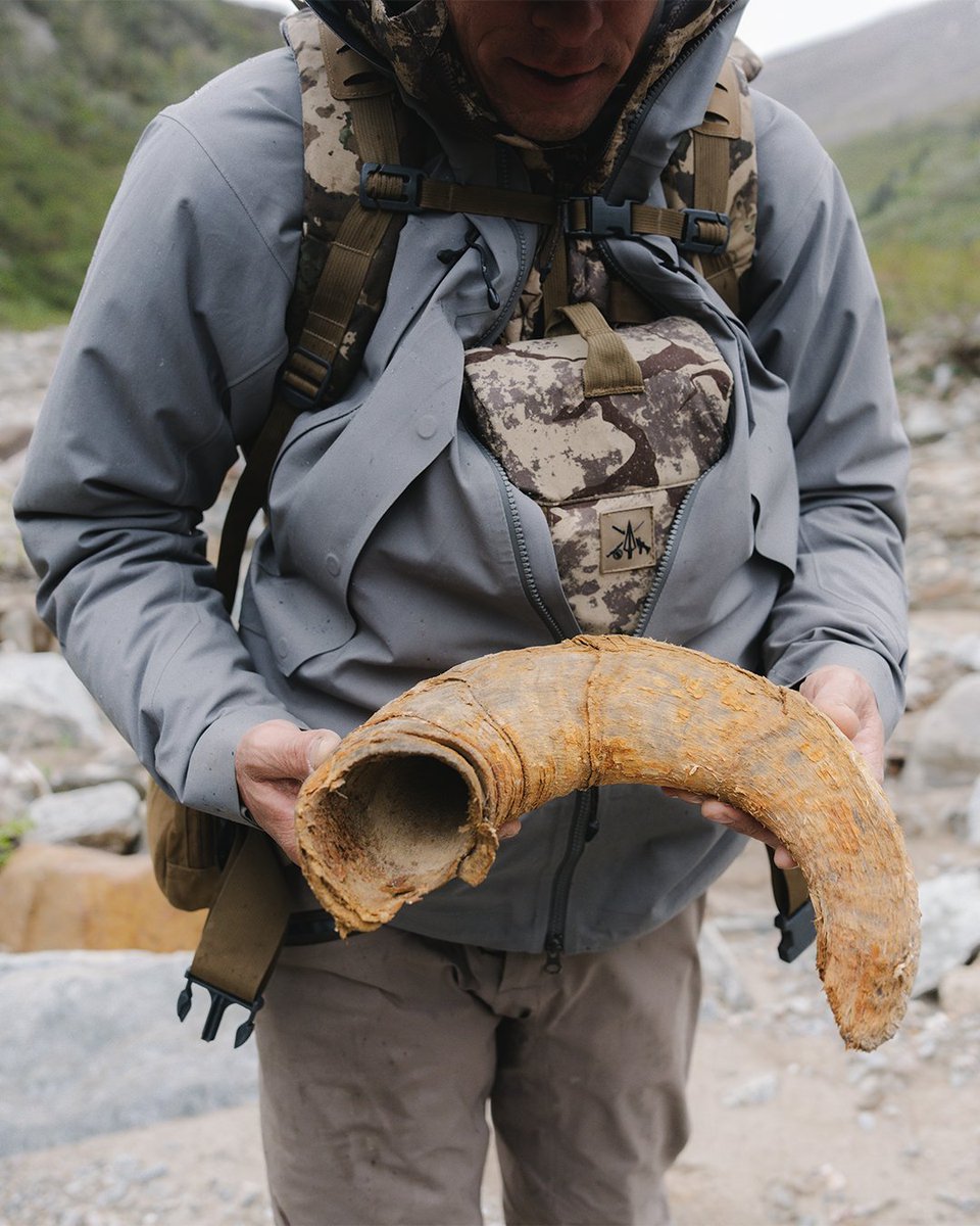 firstlitehunt's tweet photo. Adventure is calling. Where will this hunting season take you?
#FirstLiteHunting #GoFartherStayLonger https://t.co/RCRAvb8GZd