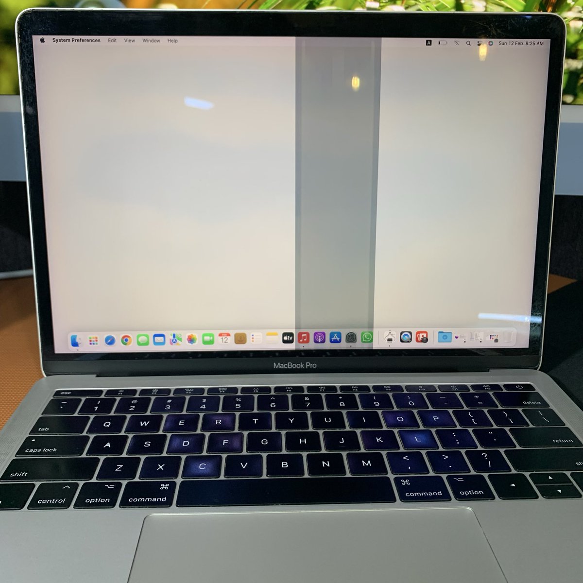 Apes Store ID tweet media