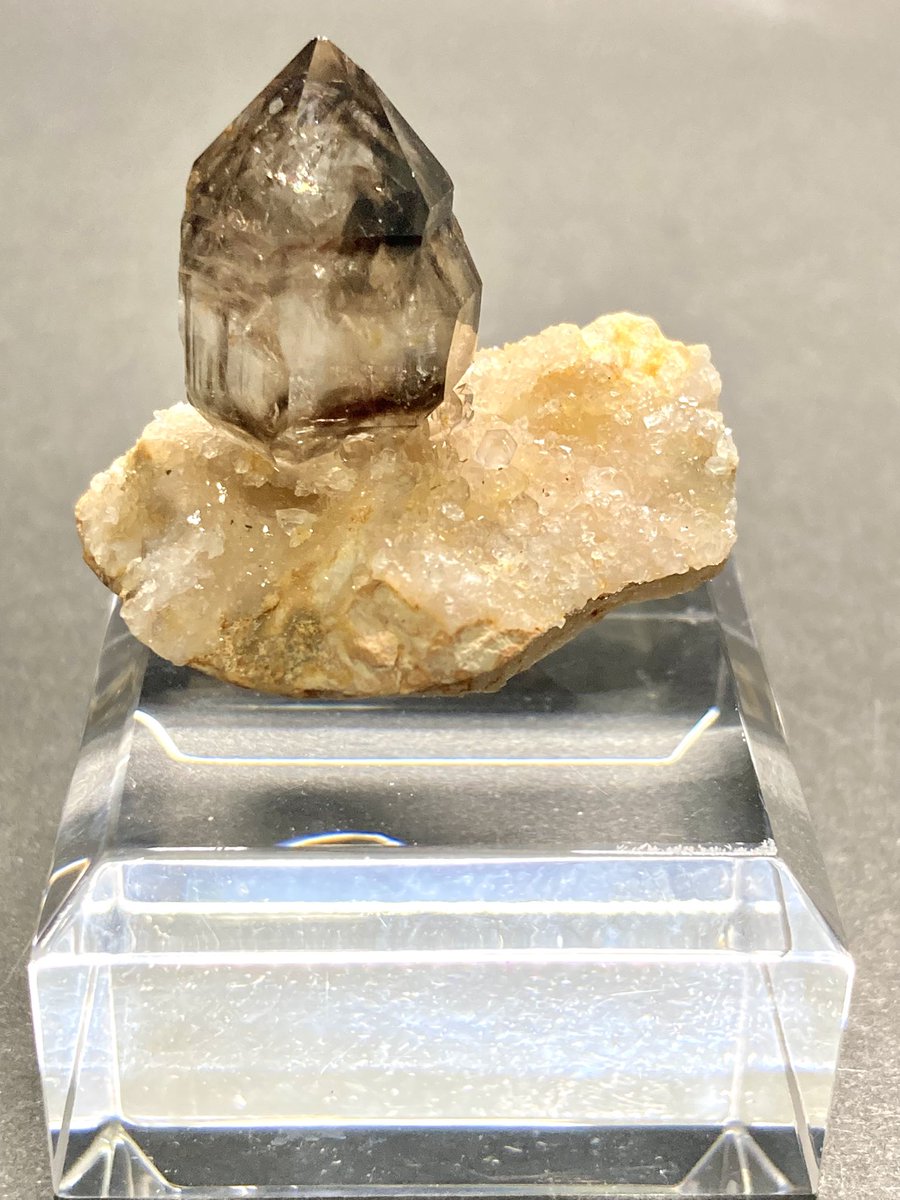 憧れの<a href="/peanutsminerals/">PEANUTS MINERALS🥜AP Fine Mineral Art Gallery</a> さんより購入
①Smokey Quartz
欲しかったMooralla産のスモーキークォーツ、綺麗かつ可愛らしい