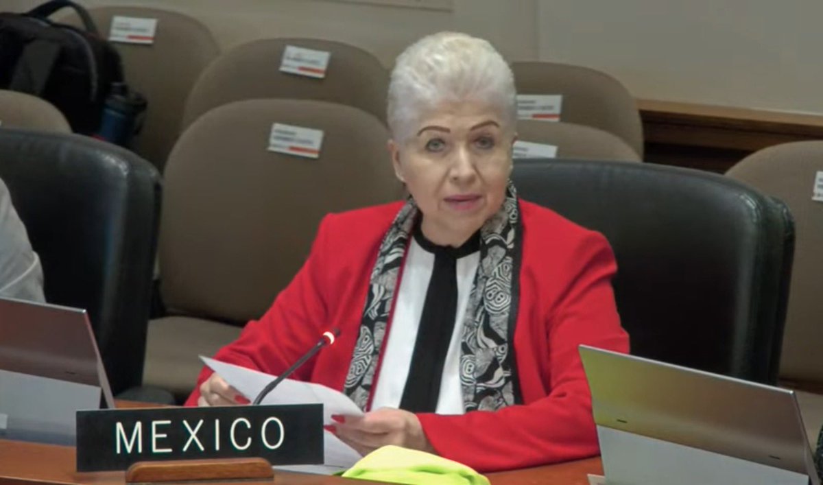 En el Consejo Permanente de la @OAS_oficial México agradeció la presentación de los informes de ejecución presupuestal de la <a href="/CIDH/">CIDH - IACHR</a> y reconoció los significativos avances logrados en la realización de su Plan Estratégico 2023-2027.