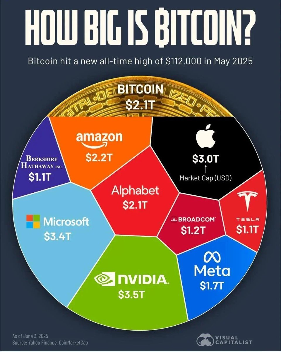 It still blows my mind that Bitcoin is cheaper than only one single company.

Wait till Bitcoin is bigger than the biggest 100 Companies combined!