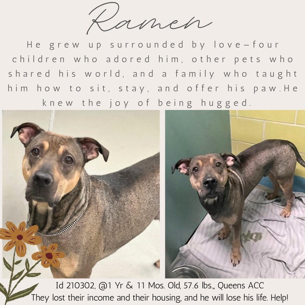 x.com/MorgFairsdogs/…