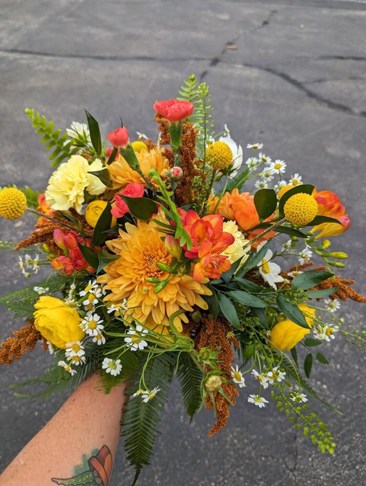 Xylonature (@xylonature) on Twitter photo 