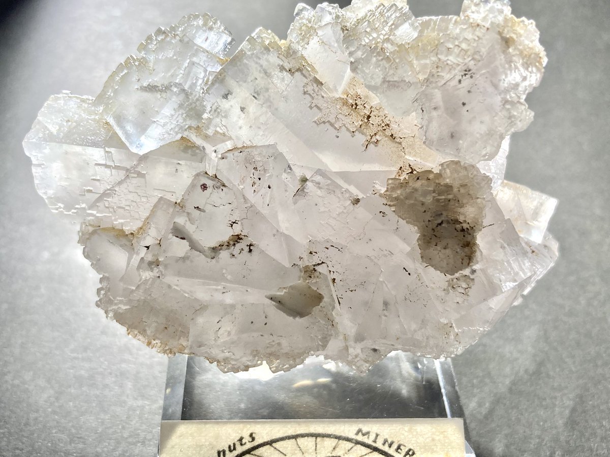 憧れの<a href="/peanutsminerals/">PEANUTS MINERALS🥜AP Fine Mineral Art Gallery</a> さんより購入
②Cinnabar in Fluorite
とにかくデカい！！！
棚に入れた時の存在感がすごい
よく見ると良い形の結晶が混ざっていたり、シナバーが良いアクセントになっていたりで、つい長い時間眺めてしまう標本です