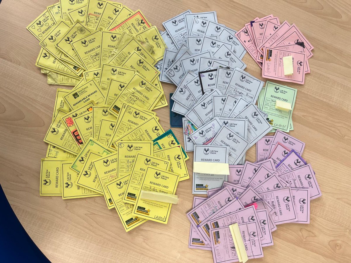 So far his term, students have completed over 100 reward cards! All these cards receive either a reward and are entered for our prize draw at the end of this half term. Well done to all those students for demonstrating the New Forest Way!