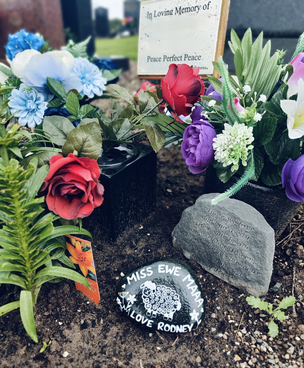 AdgerBadger79's tweet photo. You're gone 6 months, that's in a blink of an eye, missed and thought about daily 🕊️ Miss you Maaa 🐏 https://t.co/1iwXtYeBdc