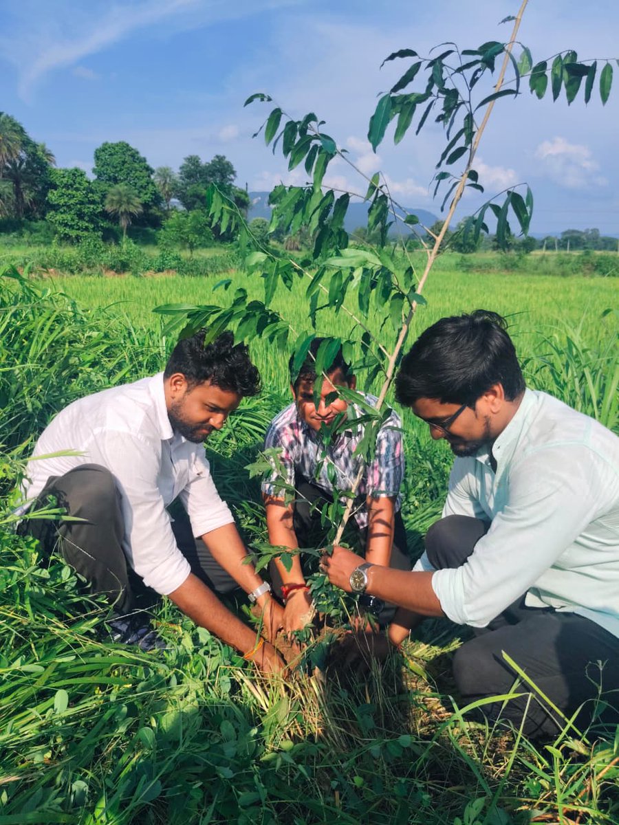 SITSBP's tweet photo. The “Ek Ped Maa Ke Naam 2.0” campaign was successfully organized by the Social Service Club of the institute on 17th September 2025.

@EduMinOfIndia
#EkPedMaaKeNaam  #SocialServiceClub #GoGreen #PlantATree https://t.co/wgmS4l0CHu