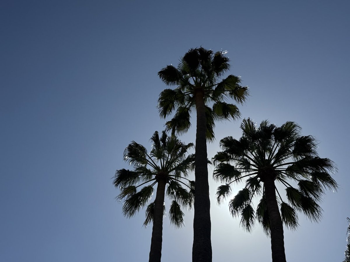 russellcrowe's tweet image. Where am I now ?