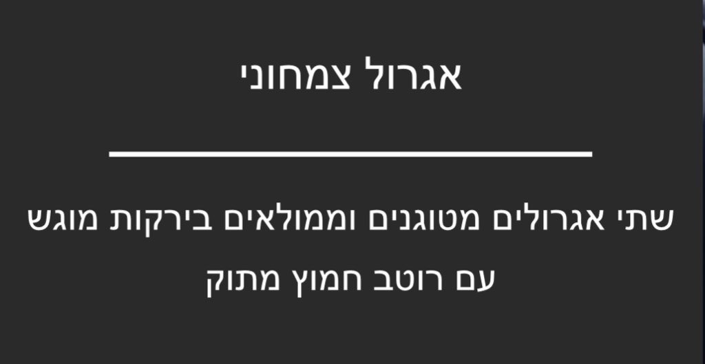 מסעדה מסוג ״שתי אגרולים״ 🤩