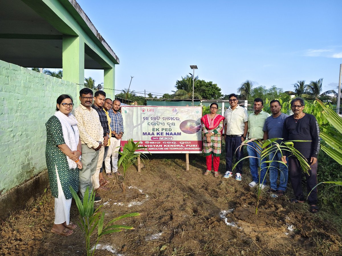 <a href="/PuriKvk/">kvkpuri</a> KVK,Puri organized “Ek Ped Maa ke Naam" at KVK,Campus involving all staffs.
#PMKisan #AgriGoI #Agriculture
<a href="/ChouhanShivraj/">Shivraj Singh Chouhan</a>
<a href="/SwachhataIndia/">Swachhata</a>
<a href="/AtariKolkata/">ICAR-ATARI Kolkata (Zone-V)</a> <a href="/PMOIndia/">PMO India</a>