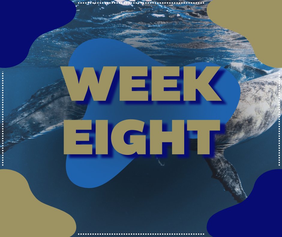 Halfway through the semester, Zips! 🧬✨ Week 8 is a great time to reconnect with advisors, check in on your goals, and keep exploring new biology opportunities. 🌱🔬 #UABiology #MidsemesterMotivation