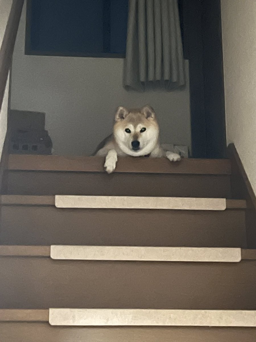 YUNOです 他の人は購入しないで下さい○┓ もないちゃん