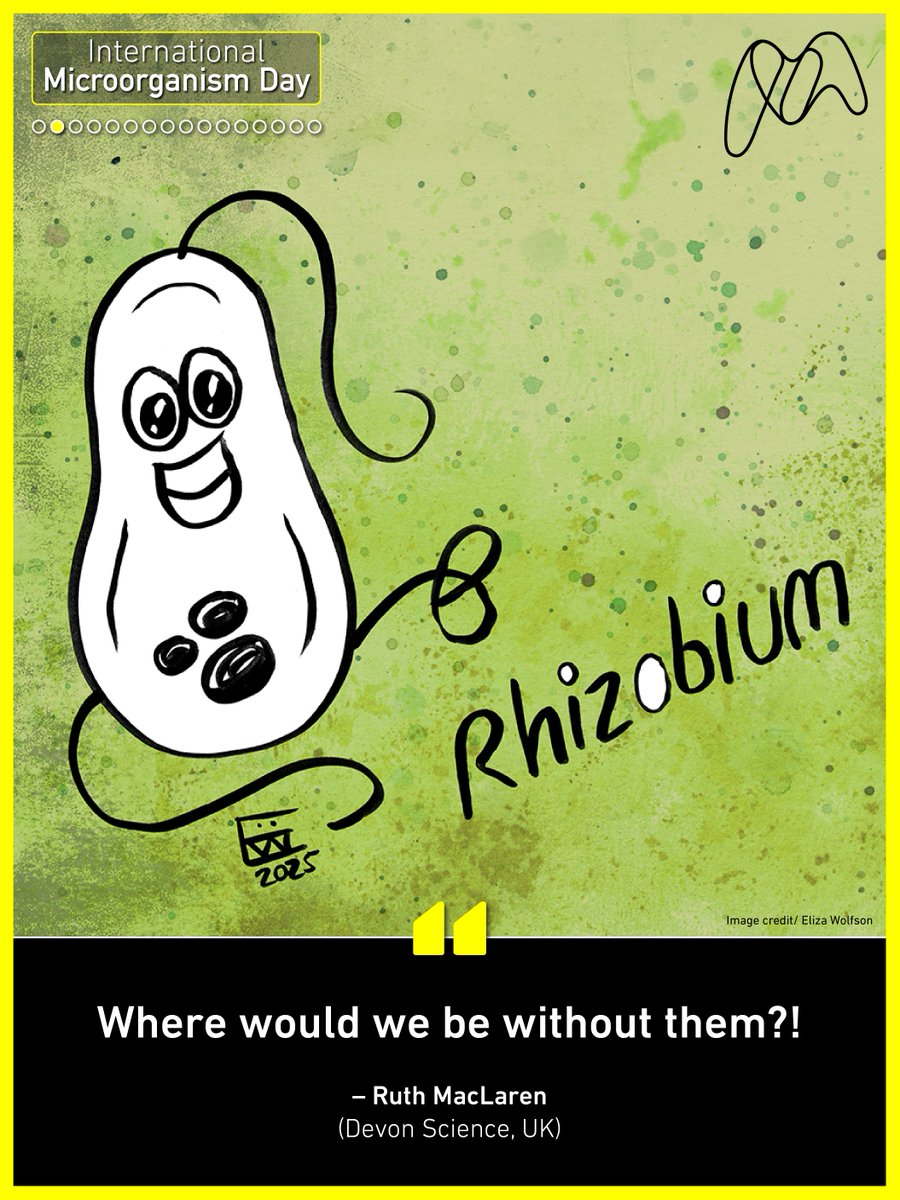 MicrobioSoc's tweet image. It’s International Microorganism Day! We asked the Society’s Champions to tell us about their favourite microbes and, our Champion, Eliza Wolfson, has created some fun illustrations to show you a bit more of their character! @eliza_coli @FEMSmicro #InternationalMicroorganismDay