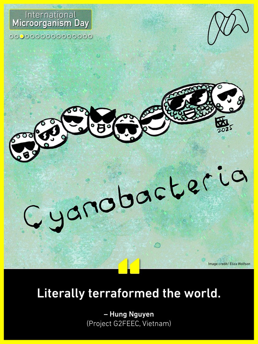 MicrobioSoc's tweet image. It’s International Microorganism Day! We asked the Society’s Champions to tell us about their favourite microbes and, our Champion, Eliza Wolfson, has created some fun illustrations to show you a bit more of their character! @eliza_coli @FEMSmicro #InternationalMicroorganismDay