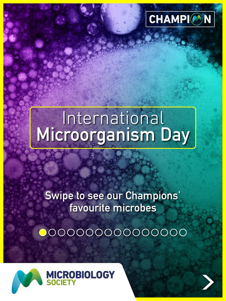 MicrobioSoc's tweet image. It’s International Microorganism Day! We asked the Society’s Champions to tell us about their favourite microbes and, our Champion, Eliza Wolfson, has created some fun illustrations to show you a bit more of their character! @eliza_coli @FEMSmicro #InternationalMicroorganismDay