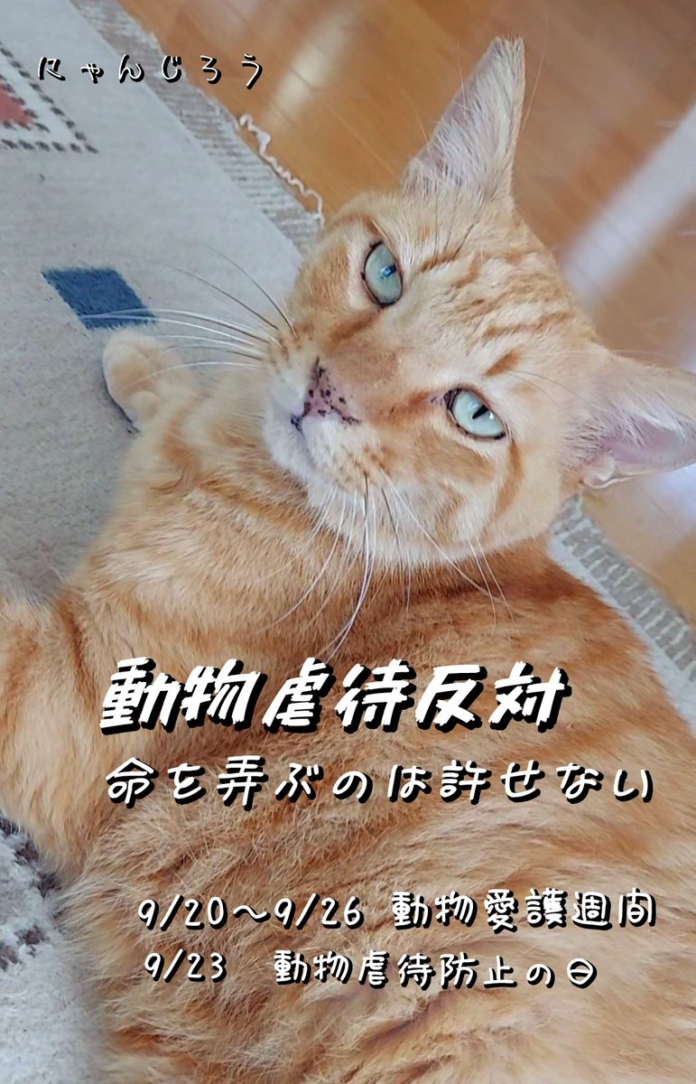 #動物虐待反対 
#動物はモノじゃない 
#動物虐待を許さない
