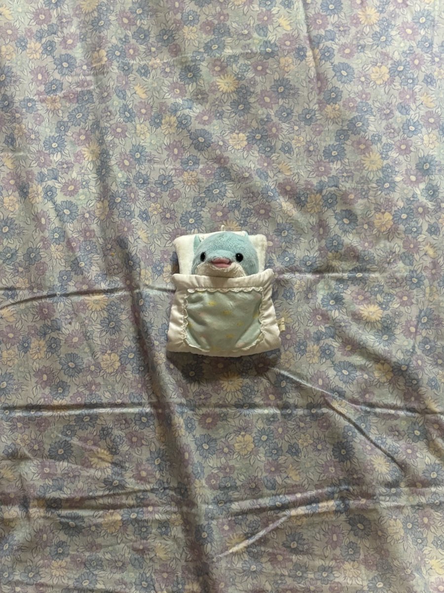 ﾑﾁｭはお布団をゲトしたのです！