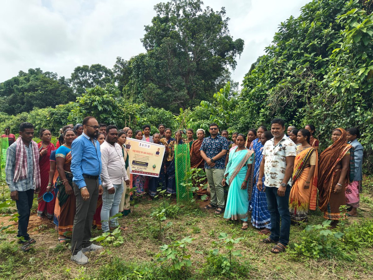 bdo gunupur tweet media